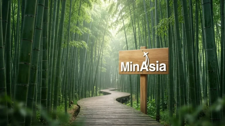 Arashiyama: Como Visitar a Floresta de Bambu de Kyoto