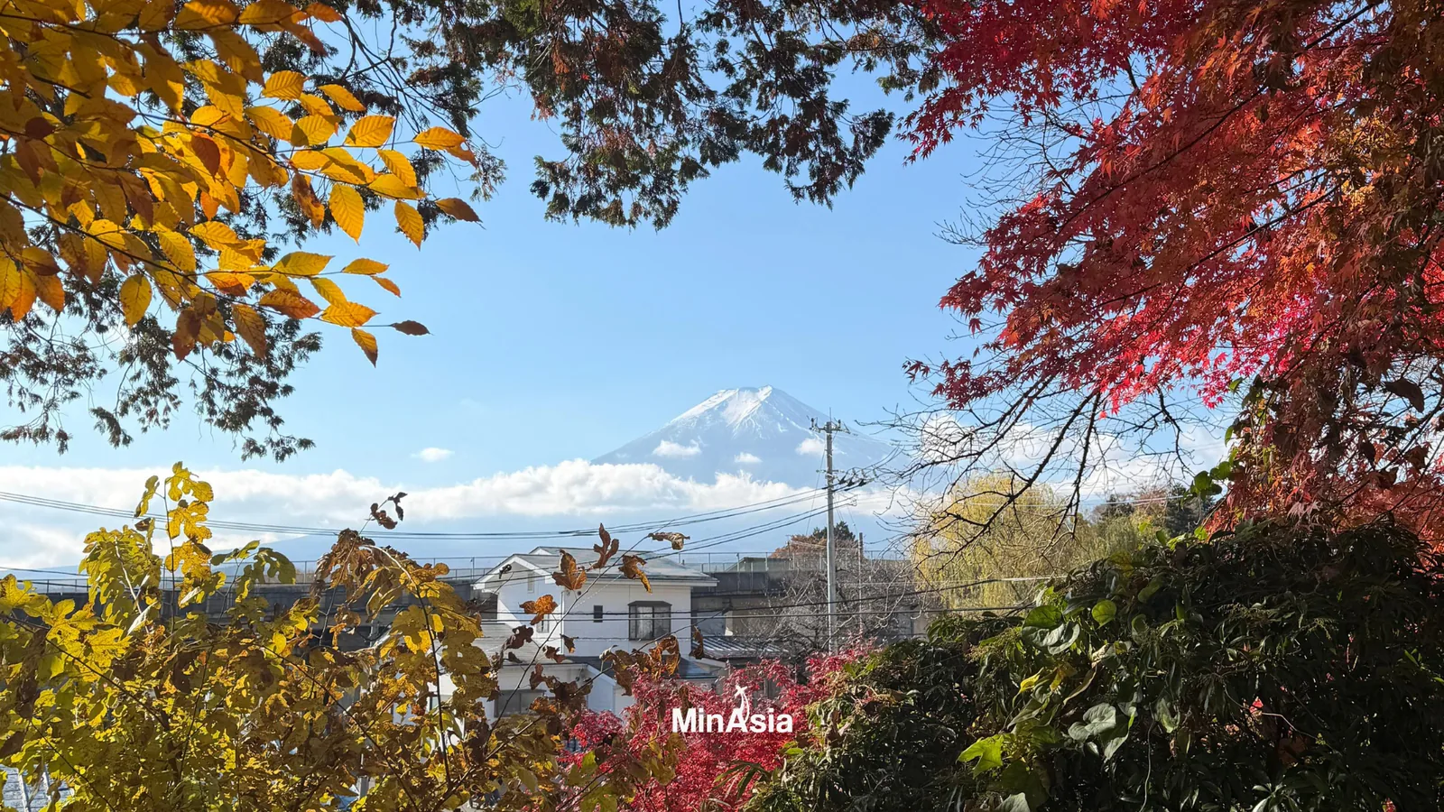 Trem-bala Shinkansen em alta velocidade atravessando a zona rural de Hakone, Japão, com paisagens verdes exuberantes e casas tradicionais em Hakone Japão.
