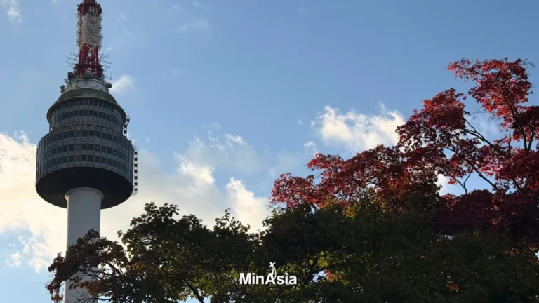 JMJ Coreia do Sul: guia completo para brasileiros que querem participar do evento
