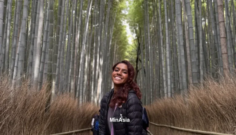 Arashiyama: Como Visitar a Floresta de Bambu de Kyoto