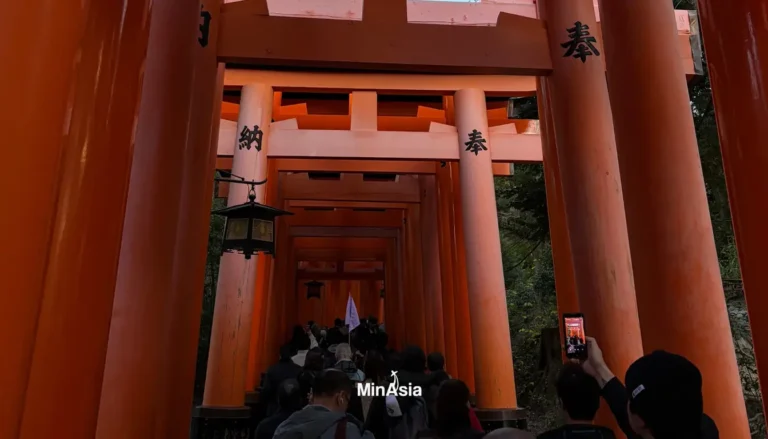 Fushimi Inari: Guia do Templo dos Mil Portões Vermelhos em Kyoto