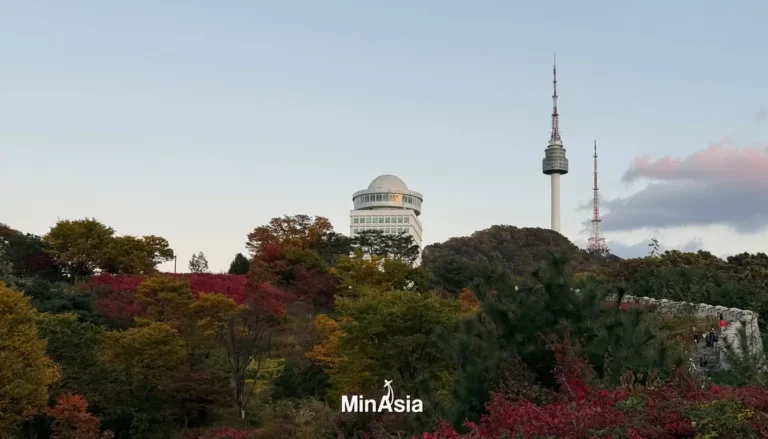 Gangnam: O Que Fazer no Bairro Mais Badalado de Seul