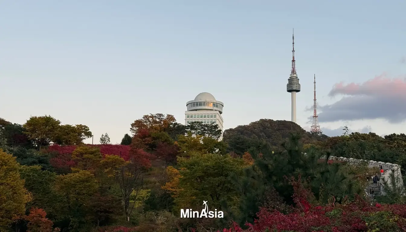 Gangnam: O Que Fazer no Bairro Mais Badalado de Seul