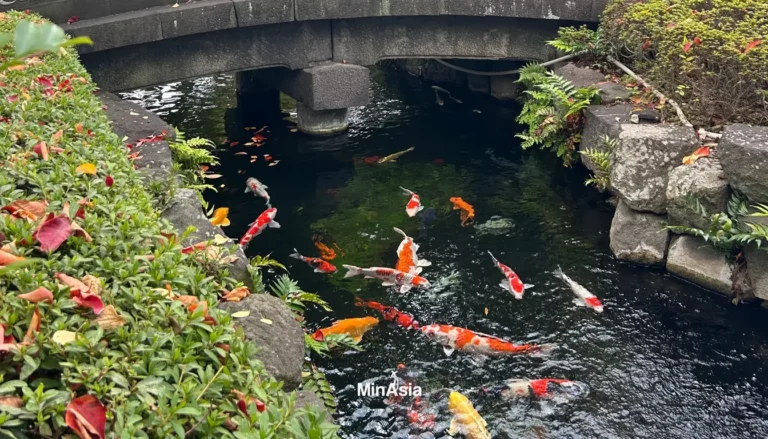 Onsen no Japão: Como Funcionam as Termas e a Etiqueta Japonesa