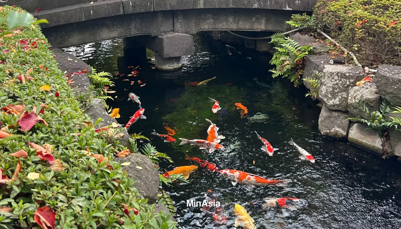 Onsen no Japão: Como Funcionam as Termas e a Etiqueta Japonesa